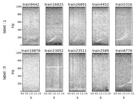 \label{img:samples}