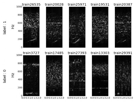 \label{img:samples_unprocessed}